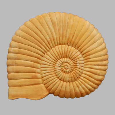 White Stone Shell Carving