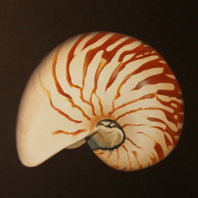 Nautilus