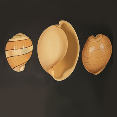Caracoles terrestres