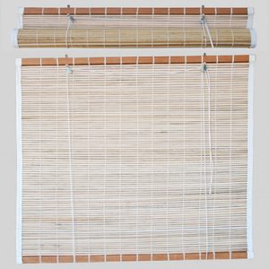 Palm Blind