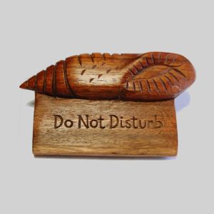 Do Not Disturb Signage
